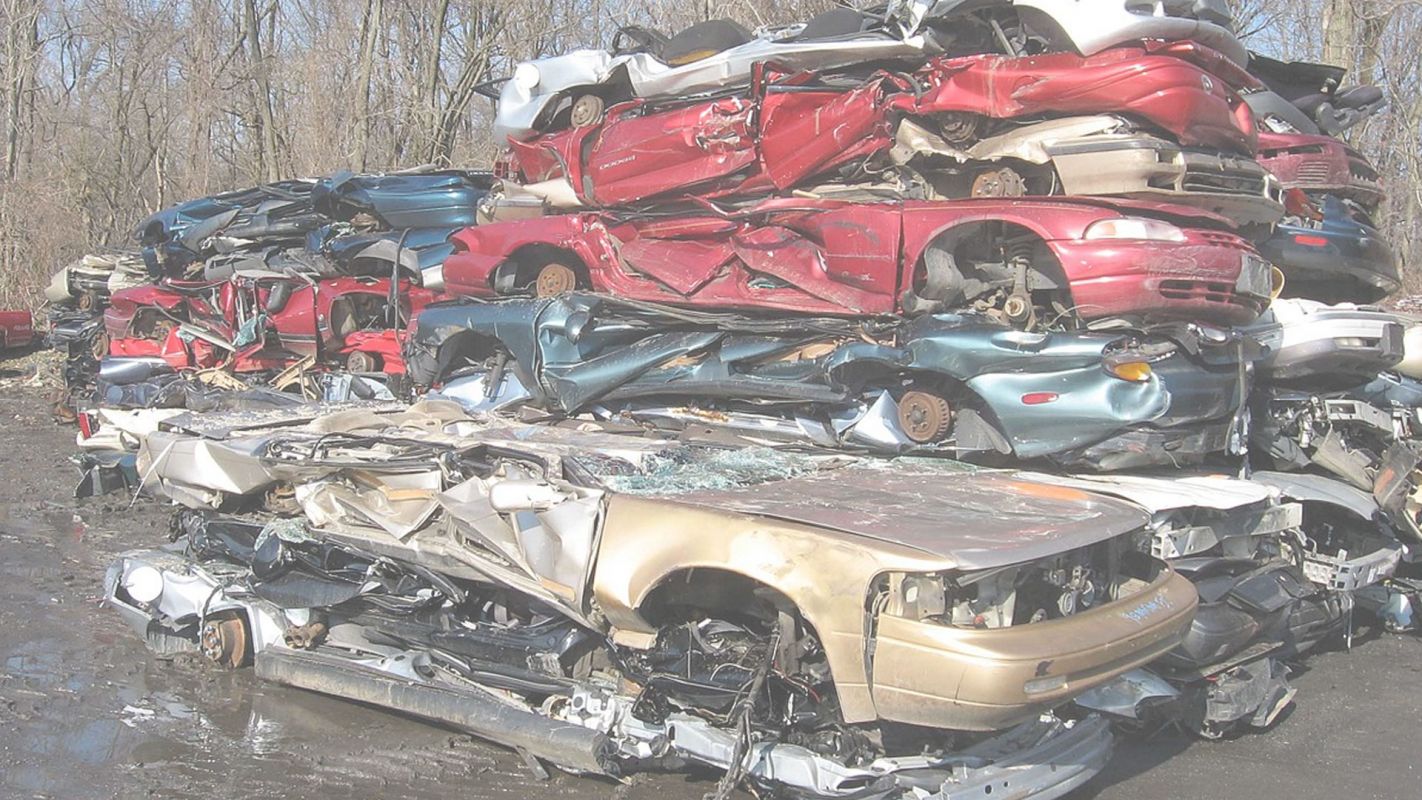 We Purchase Scrap Cars in Wesley Chapel, FL