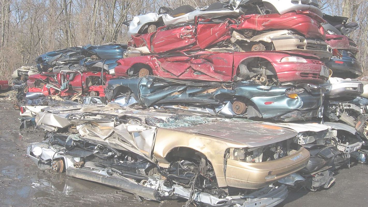 We Purchase Scrap Cars in New Port Richey, FL