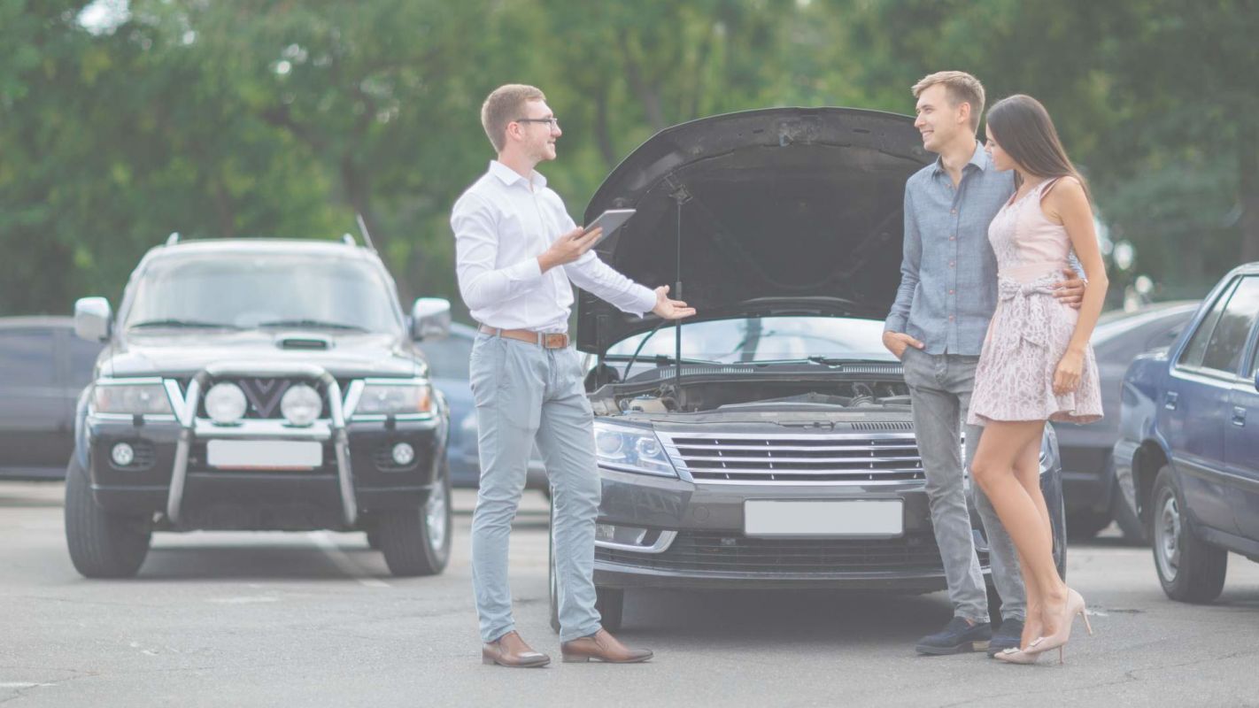 The Best Car Dealers at Your Service in Port Richey, FL