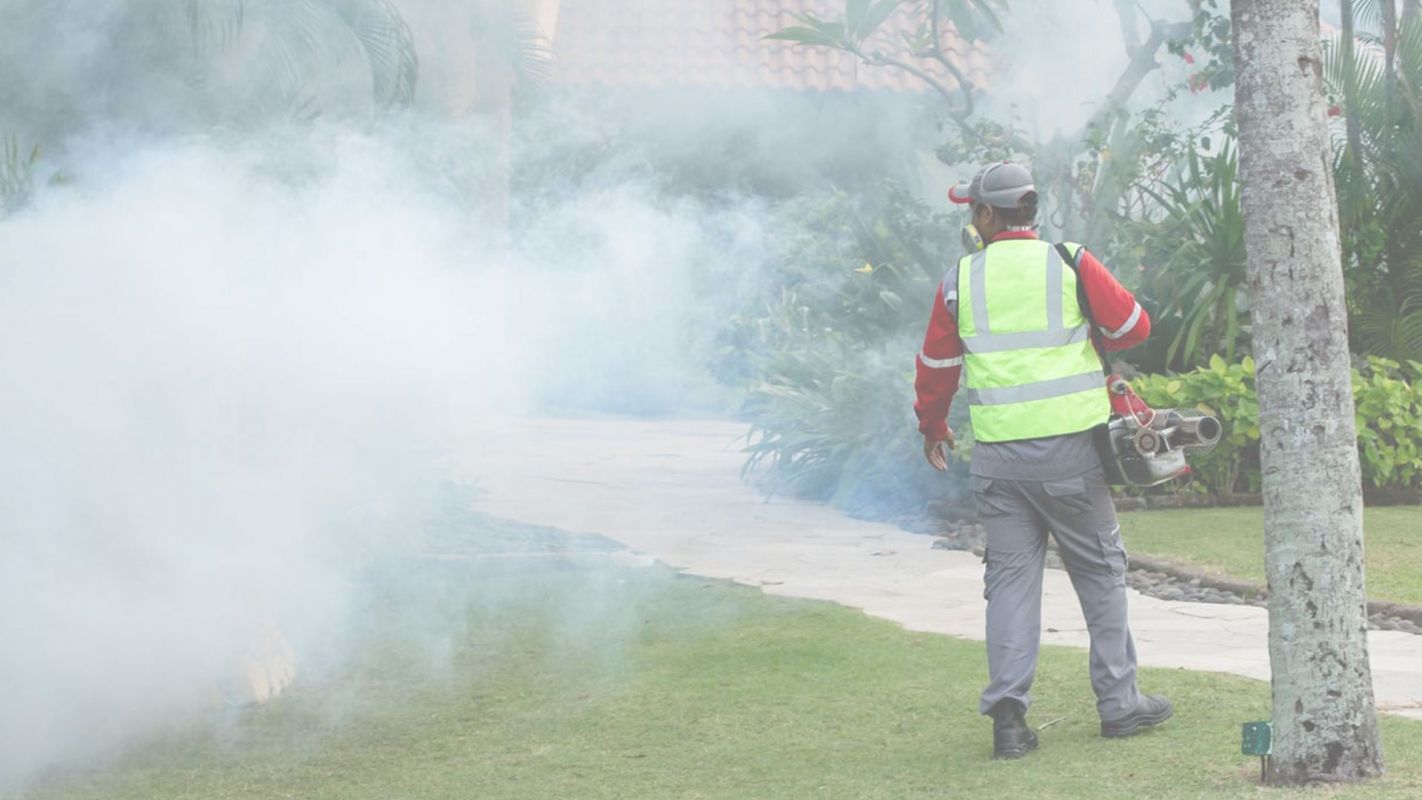 Best Mosquito Control Services in Charlotte, NC