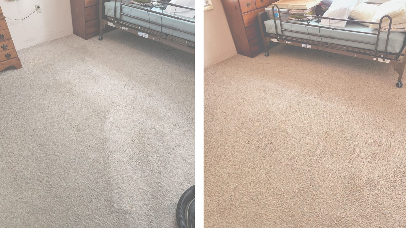 Carpet Cleaning Services for You! South Miami, FL
