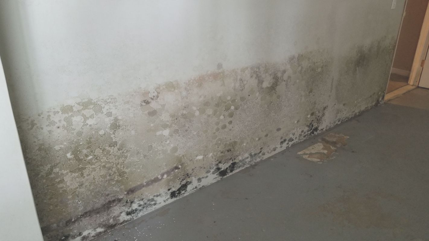 Drywall Water Damage Repair Restores Your Home McKinney, TX