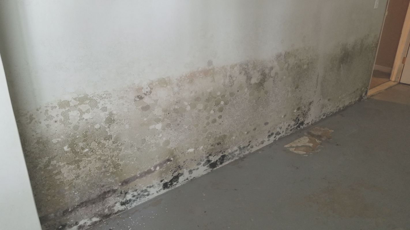 Drywall Water Damage Repair Restores Your Home Allen, TX