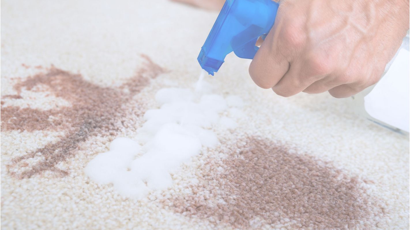 Carpet Stain Removal – We are Here to Help You Houston, TX