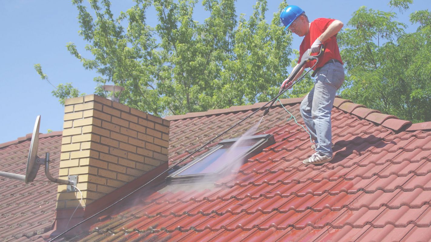 What is Soft Wash Roof Cleaning? Falls Church, VA