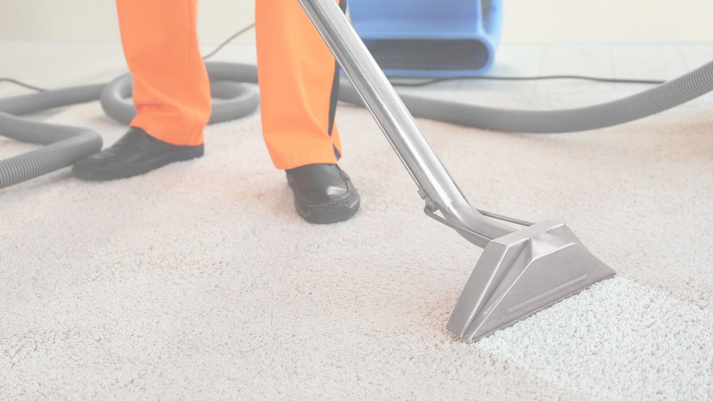 Local Carpet Cleaners Having Skill and Experience Columbia, SC