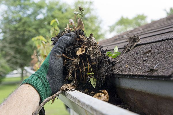 Gutter Cleaning Services Fremont CA