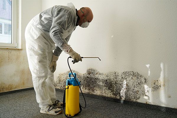 Residential Mold Inspection