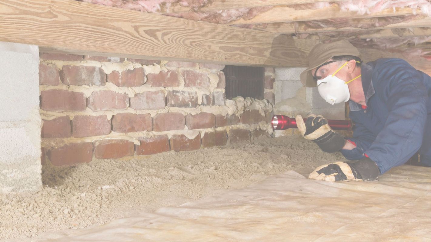 Termite Inspection that Guarantees Permanent Eradication Gold Canyon, AZ