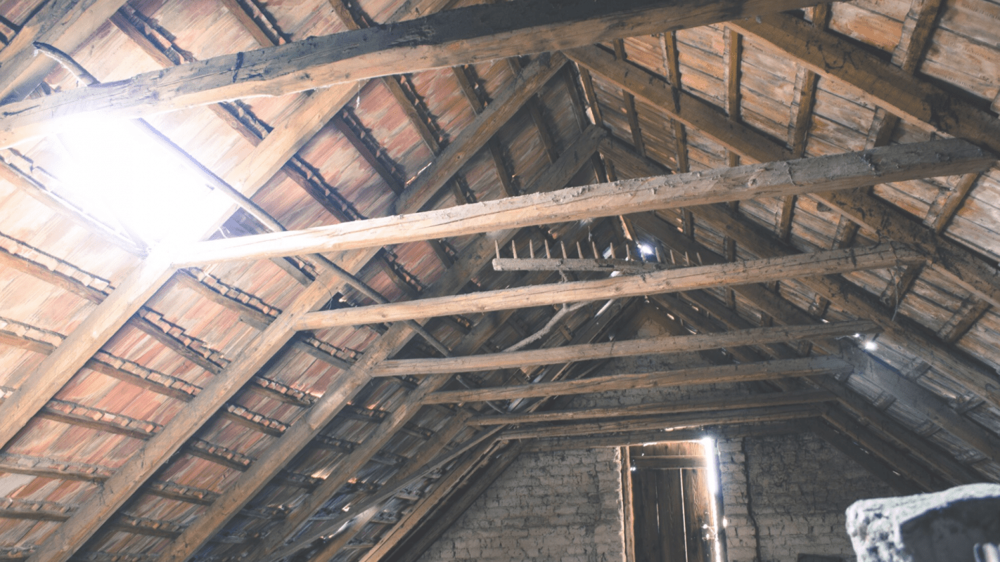 Attic Services Ensuring a Clean and Maintained Space Parkland, FL