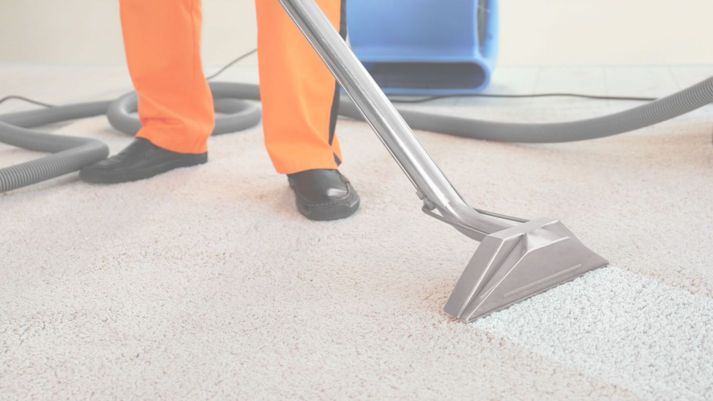 Urgent Carpet Cleaning Service – A Specialist in Carpet Cleaning Boise, ID