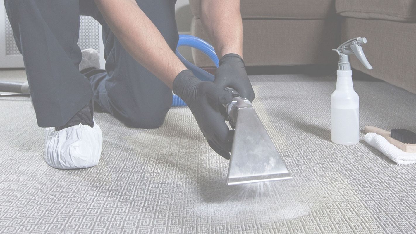 Qualified Carpet Cleaners at Your Service Carrollton, TX