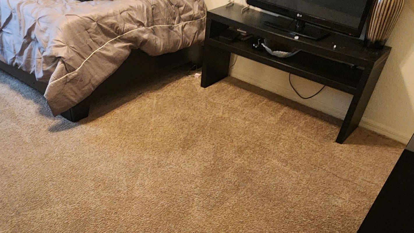 Commercial Carpet Cleaning – The Very Best in South Miami, FL South Miami, FL