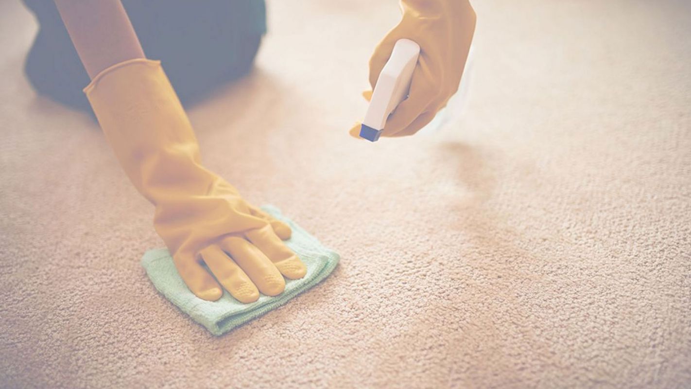 Carpet Stain Removal Meeting Your Needs Portsmouth, VA