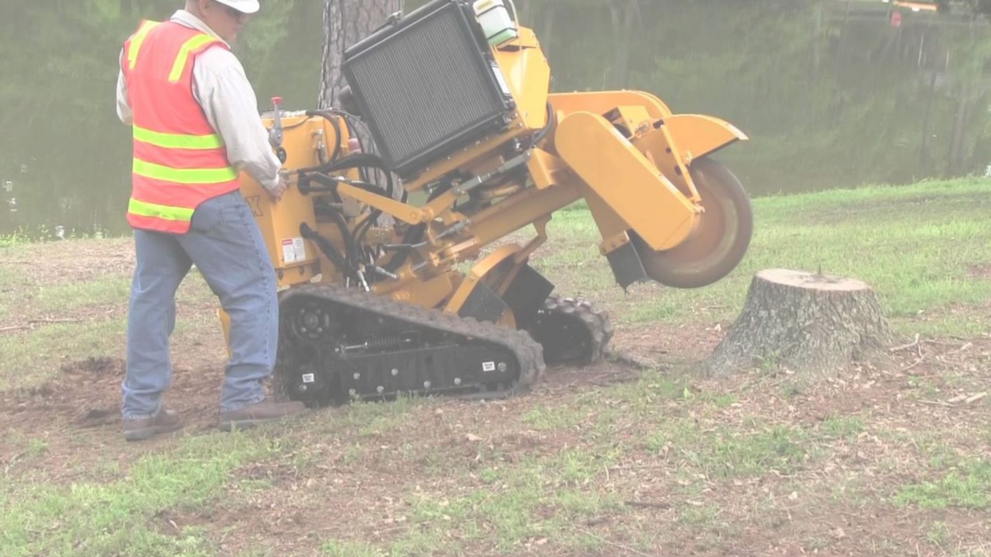 Best Stump Grinding Service You'll Ever Find Highland Park, TX