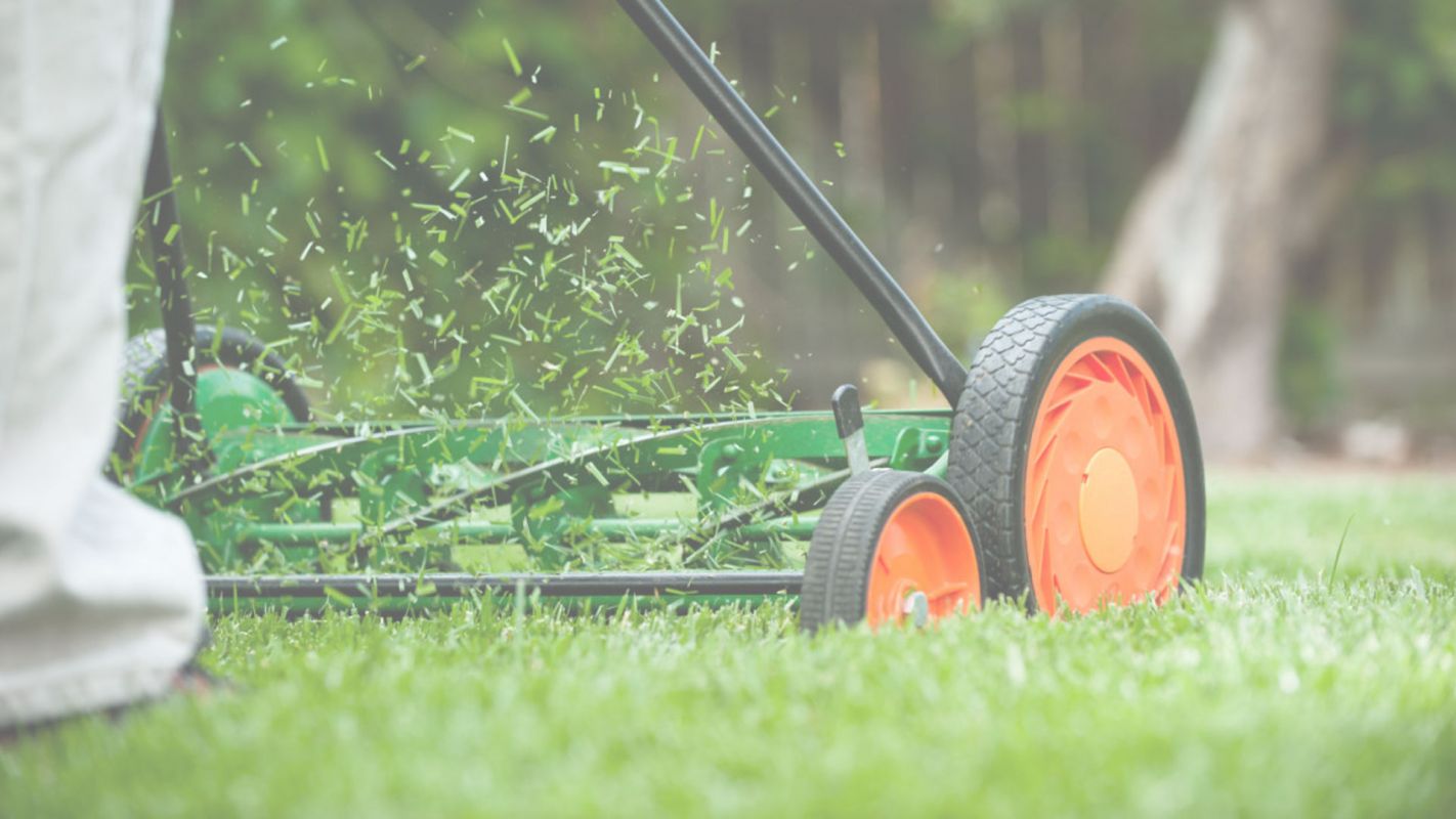 Lawn Care – Doesn’t Get Better Than This! Garland, TX