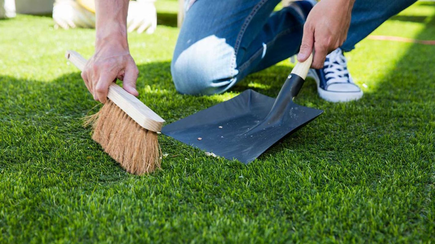 Turf Cleaning Services Sun City West AZ