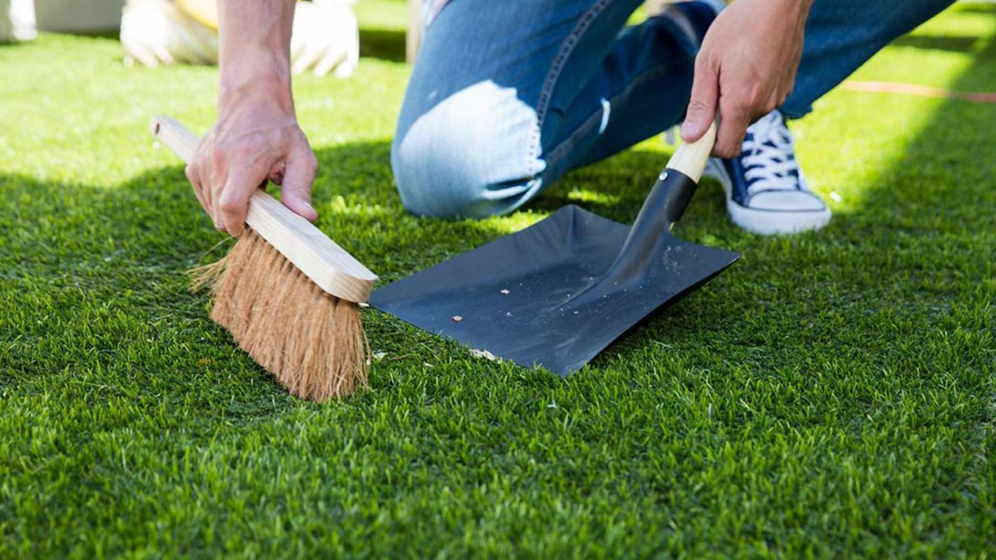Turf Cleaning Services Glendale AZ