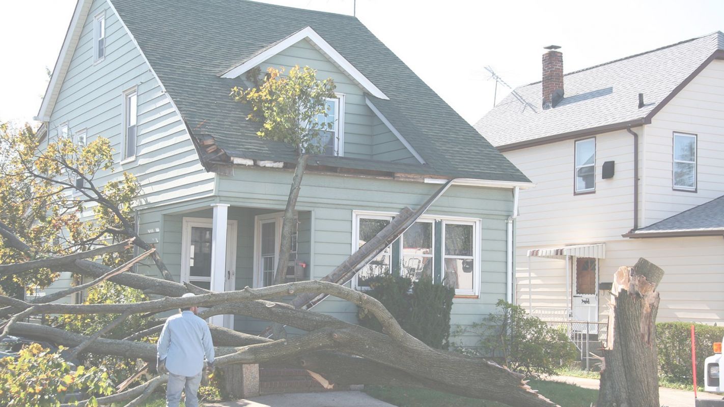Hire Us for Storm Damage Restoration The Colony, TX