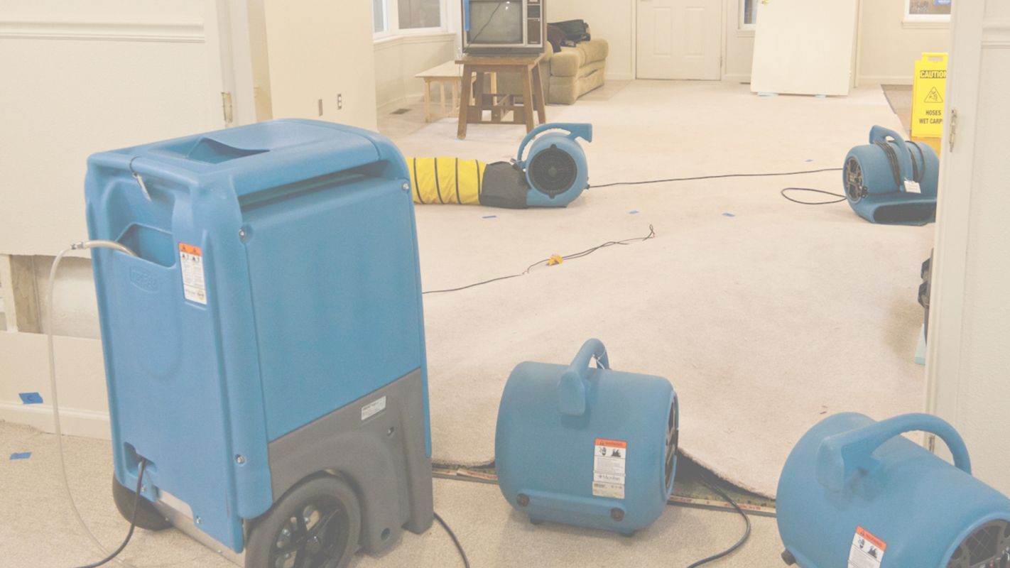 Get Service from Top Water Damage Restoration Companies Dallas, TX