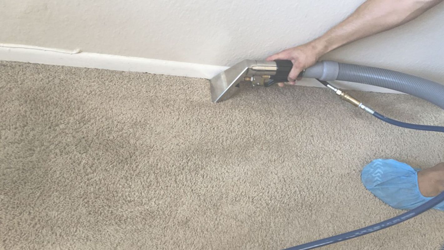 Deep Carpet Cleaning to Remove All Dirt and Bacteria Riverside County, CA