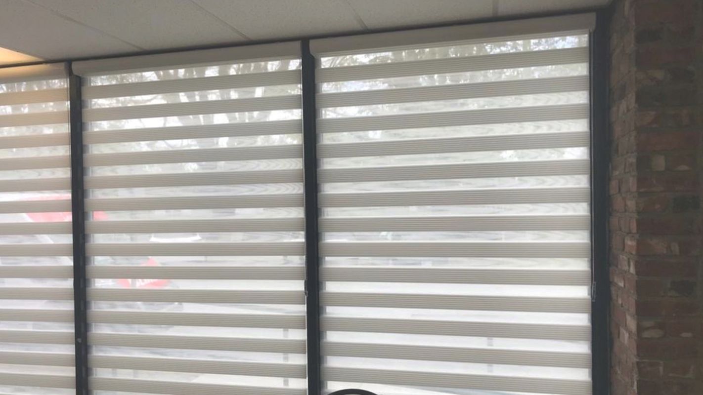 Top-Quality Roller Blind Services in Shoreline, WA