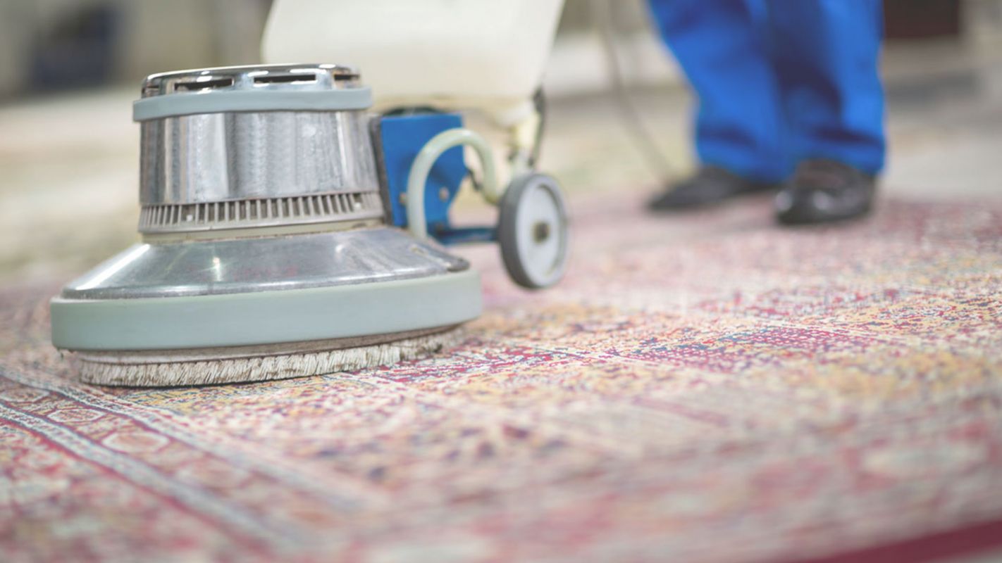 Rug Cleaning Services Make Your Rug Look Fresh Mission Valley, CA