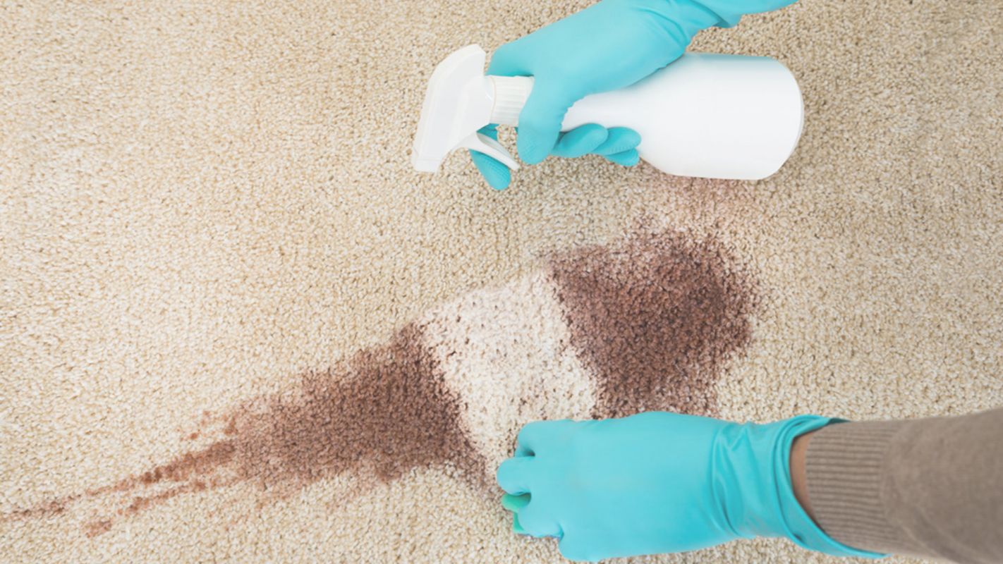 Top Carpet Stain Removal Services in West Hills, CA