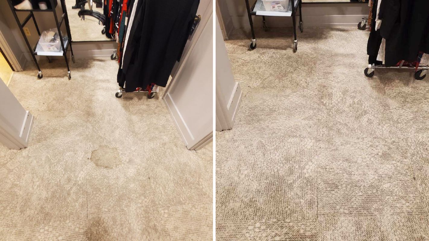 Low Carpet Cleaning Cost that Brings Joy Doral, FL