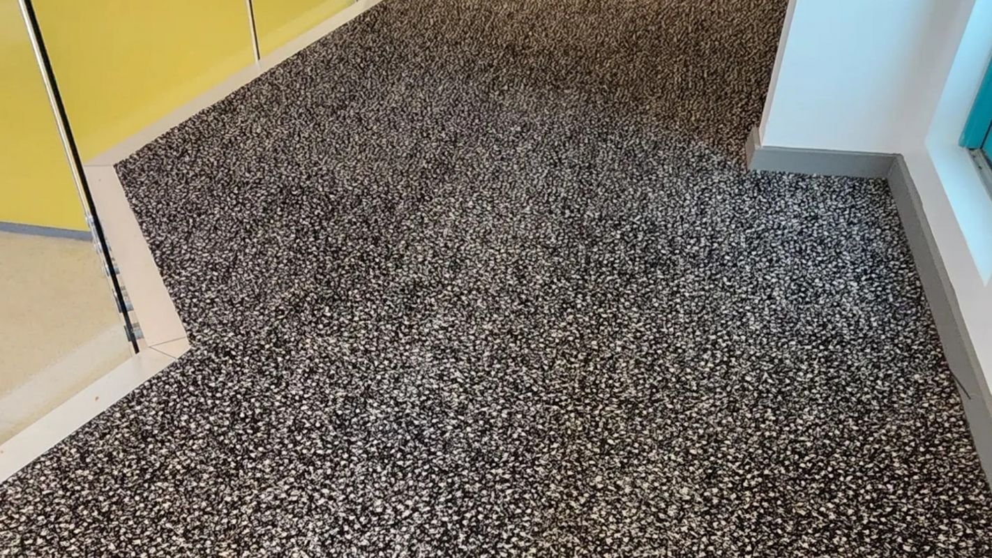 Carpet Cleaning Company Gives You Dust-Free Environment Doral, FL