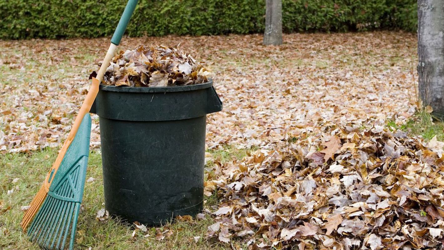 Yard Waste Removal Services Long Beach , CA