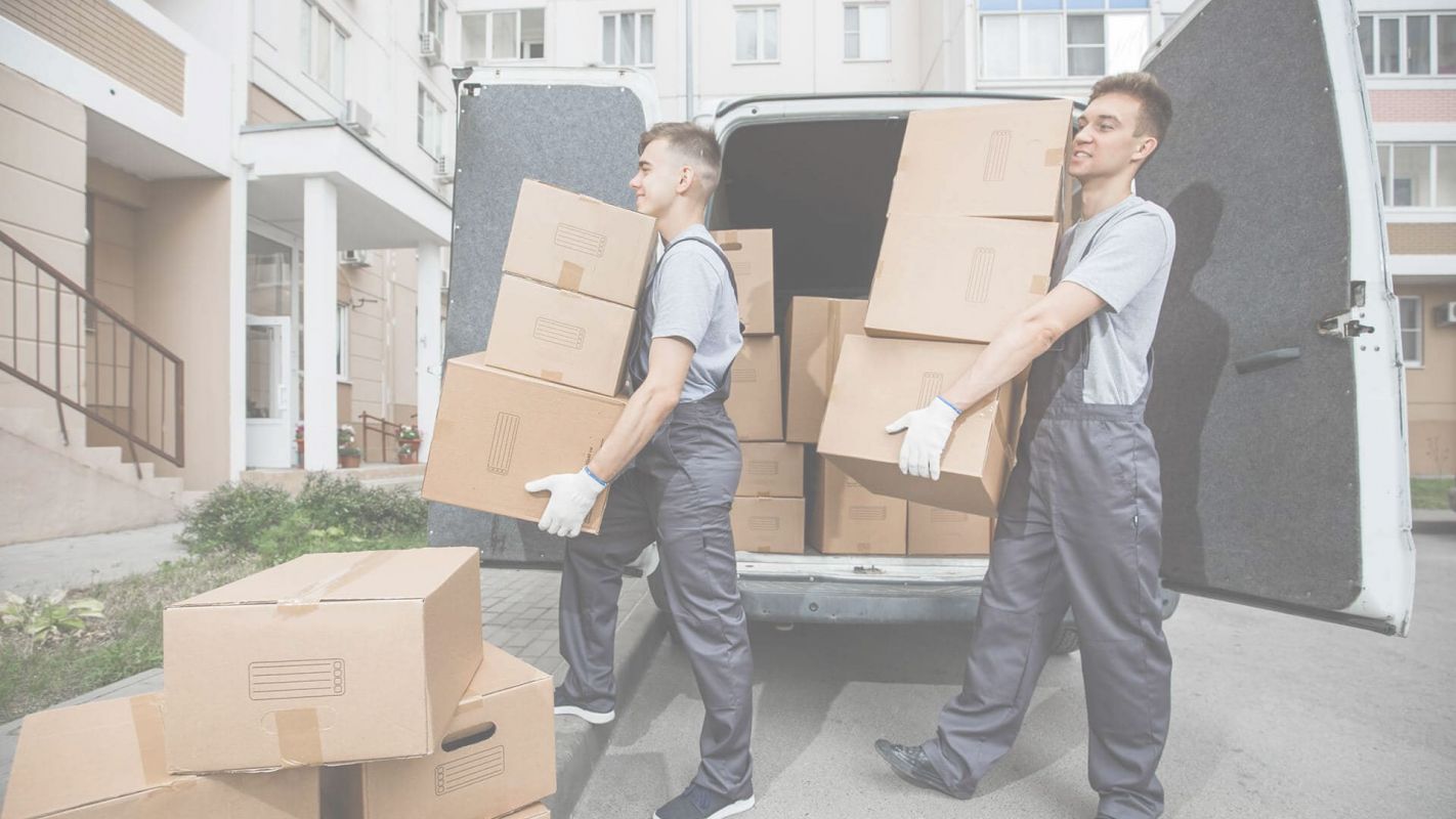 Affordable and Professional Movers Tampa FL
