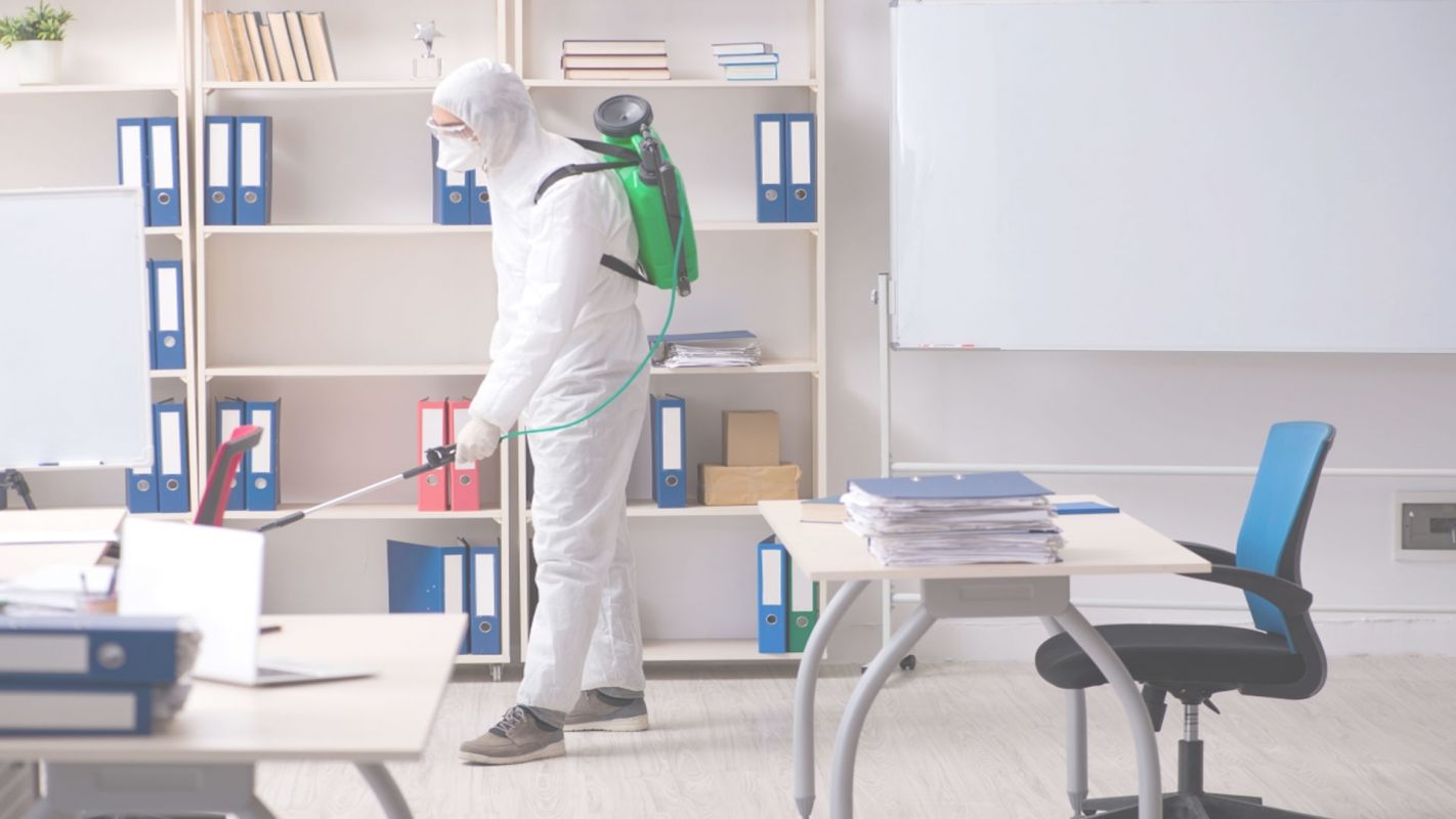 We Offer The Best Pest Control Management Services For Office New Plymouth, ID