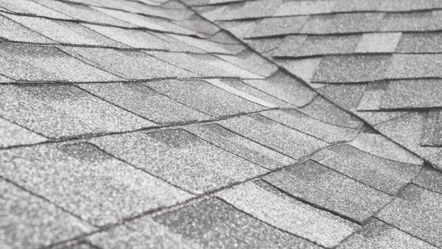 Make a House Livable with Roofing Services Nederland, TX