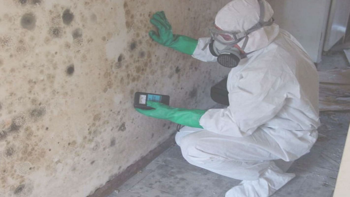 Mold Testing Company – A Cost Effective solution Lanett, AL