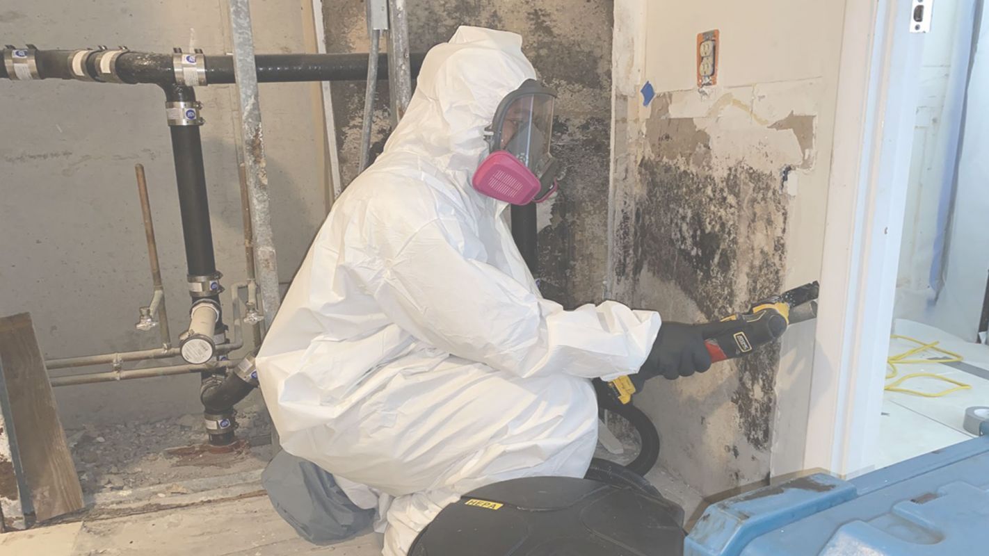 A Quality Inspection – Commercial Mold Testing in Phenix City, AL
