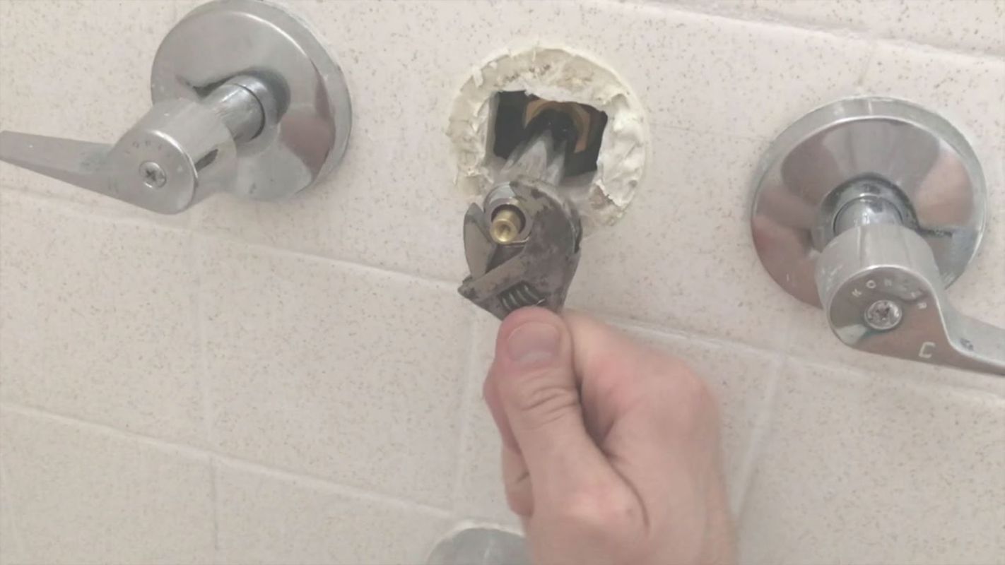 Ensuring Shower Diverter Valves Work Perfectly Detroit, MI