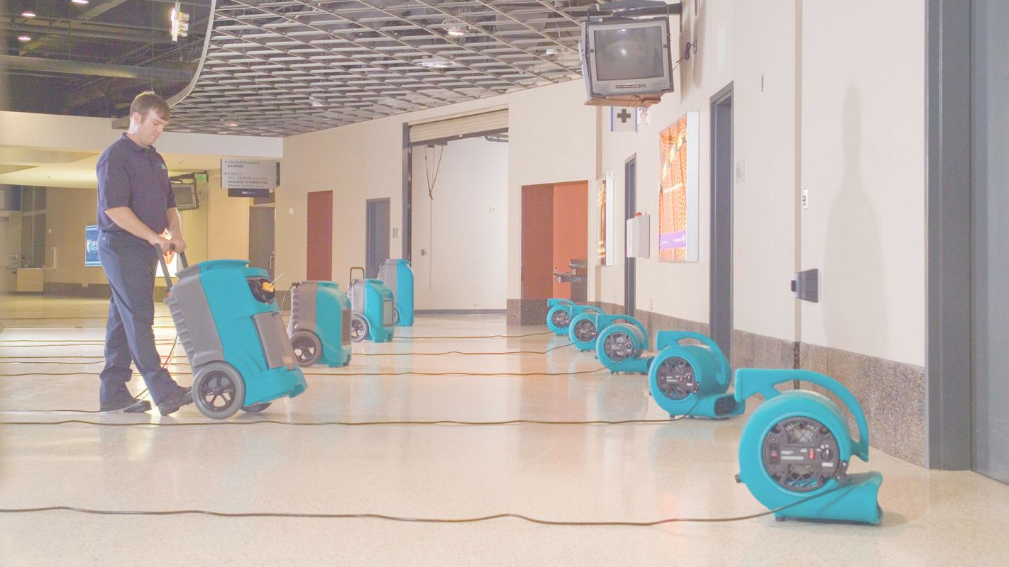 Top-Quality Commercial Water Damage Restoration in Jurupa Valley, CA