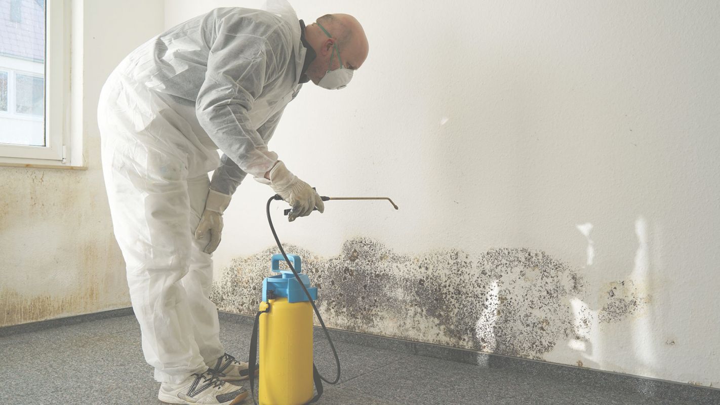 Mold Remediation – A Quality Cleanup Corona, CA