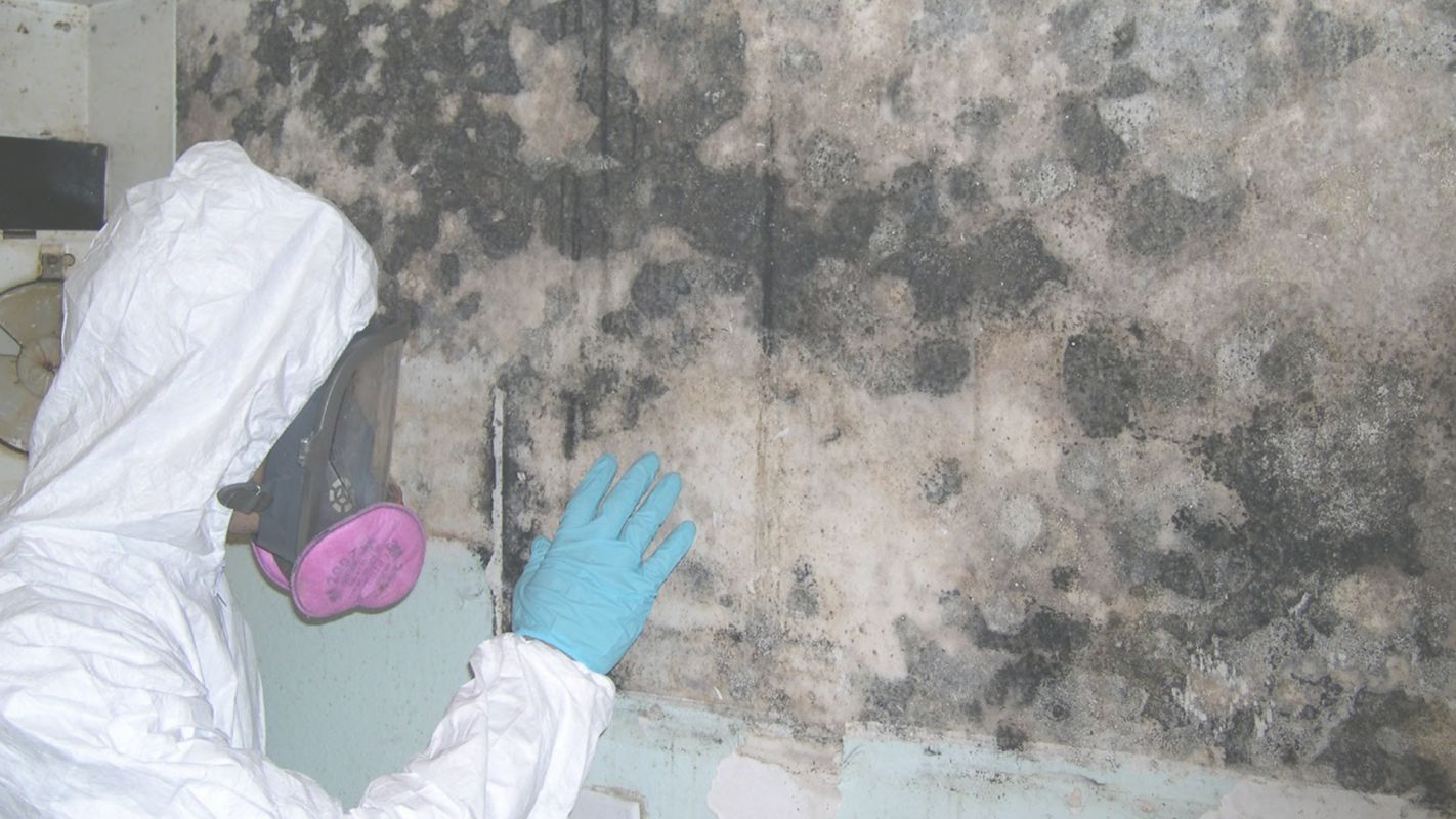 Mold Inspection Company Milwaukie OR
