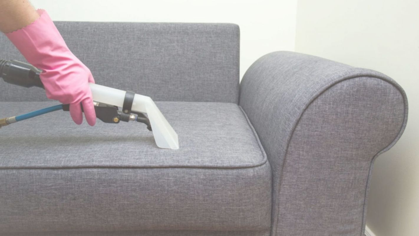 Furniture Cleaner in Matthews, NC – Eco-Friendly Cleaning Solutions!