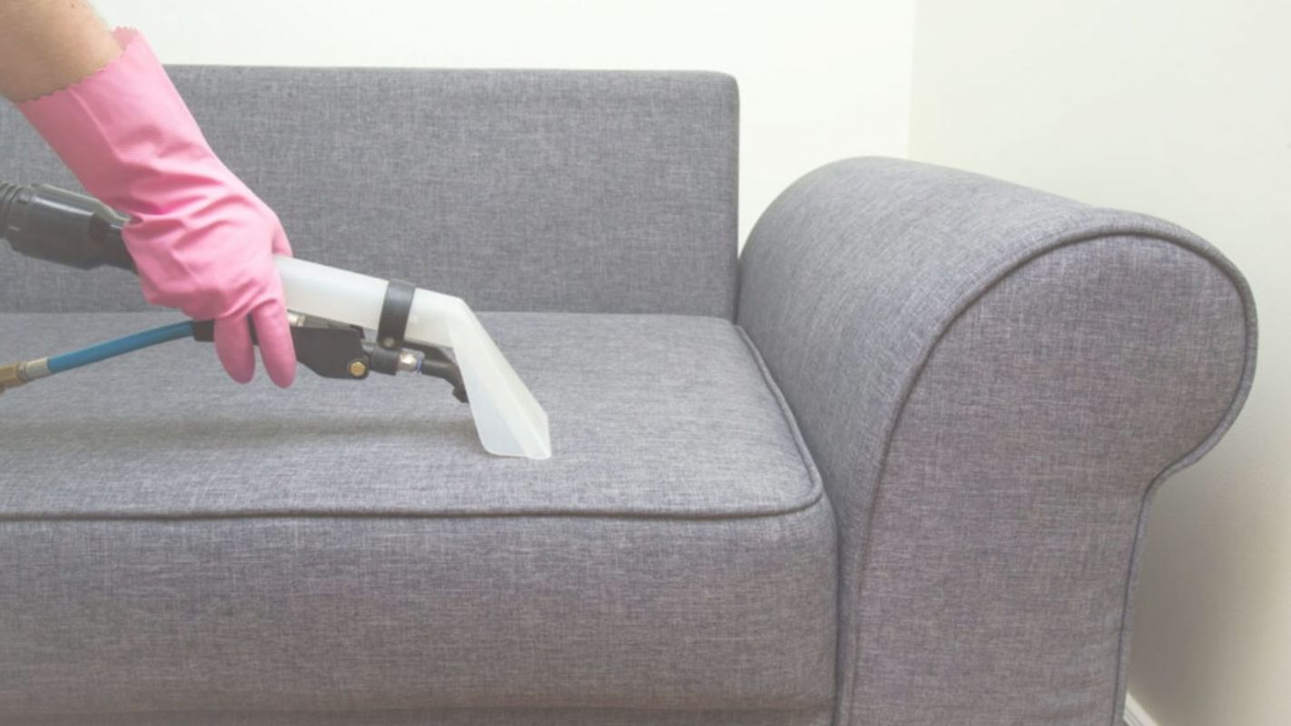 Furniture Cleaner in Waxhaw, NC – Deep Cleaning & Sanitizing!