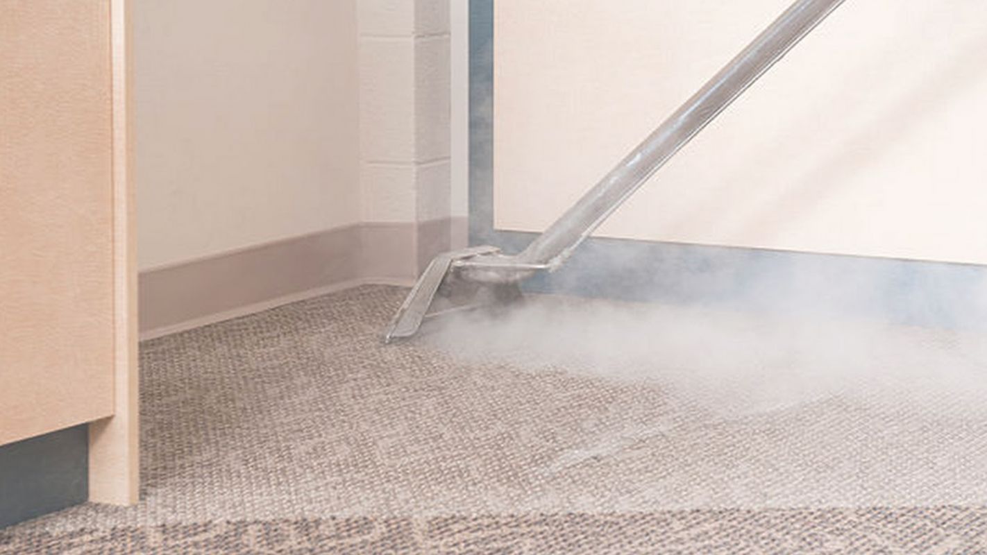 Prompt & Professional Steam Carpet Cleaning Alpharetta, GA