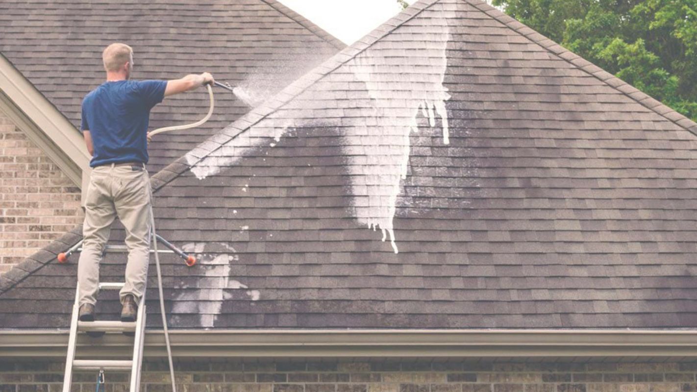 Best Roof Cleaning Pressure Washer at Your Doorstep Richmond, KY