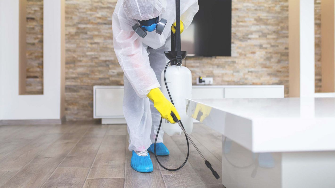 Ensuring a Germ-Free Living Space via Disinfecting Service Boston, MA