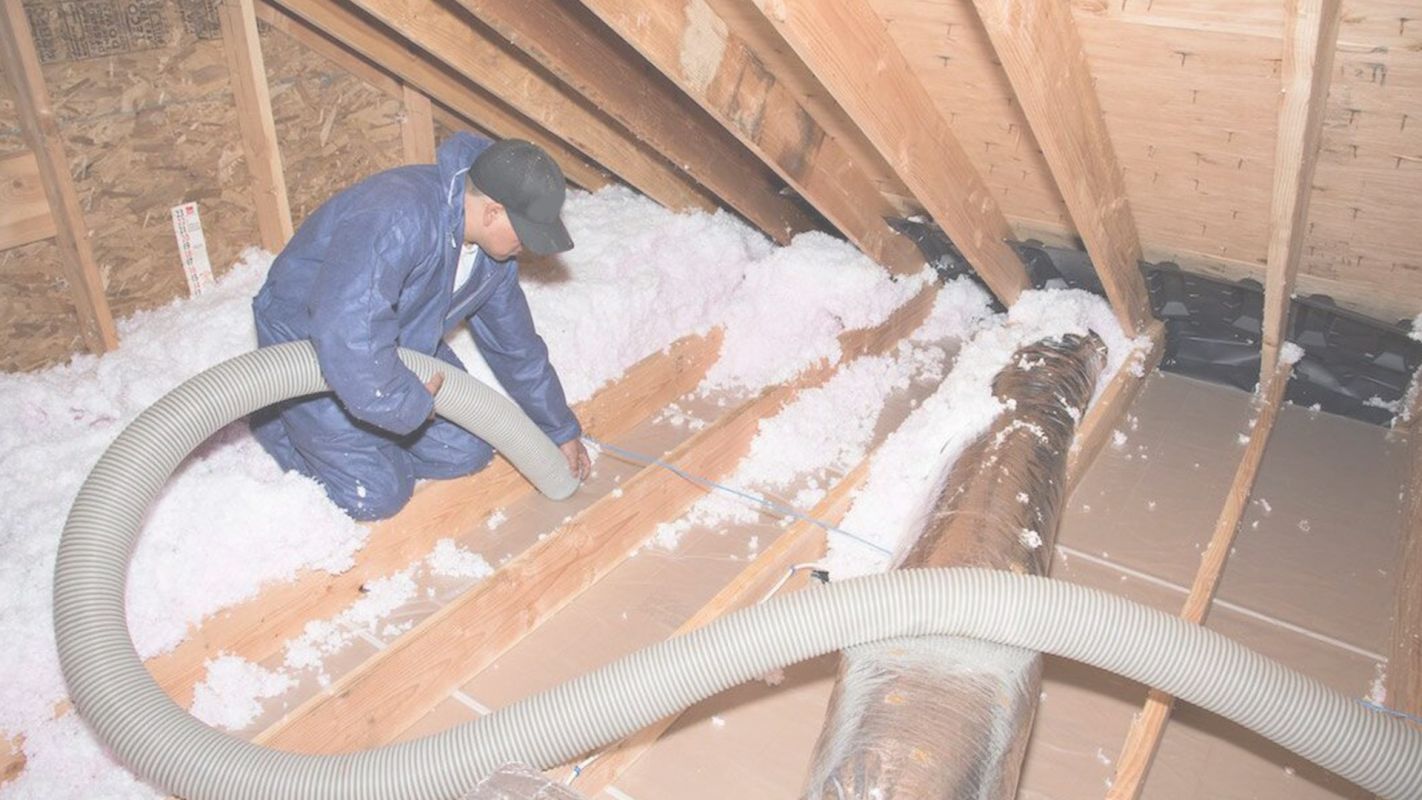 Affordable Insulation Removal In Louisville, CO