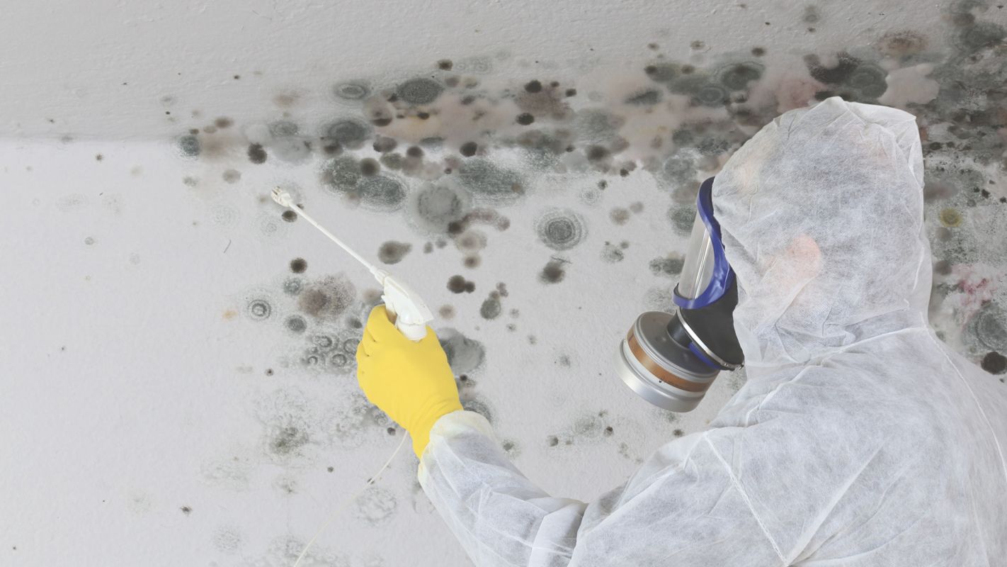 Mold Remediation in New Bedford, MA