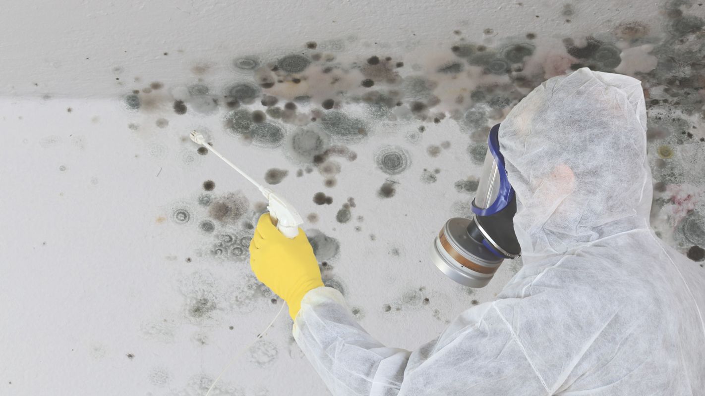 Mold Remediation in Fall River, MA