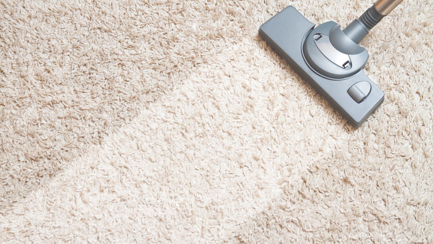 Affordable Carpet Cleaning in Town New Bedford, MA