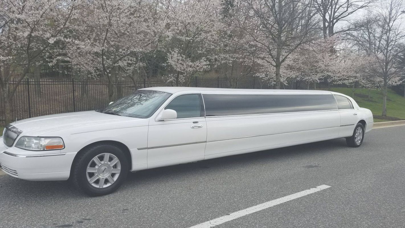Dream Up with Limo Hiring Services Fairfax, VA
